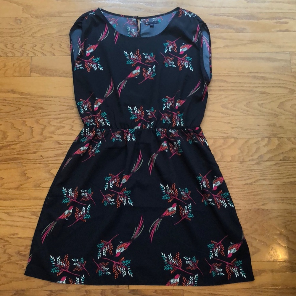 Gap dress! Super cute.
